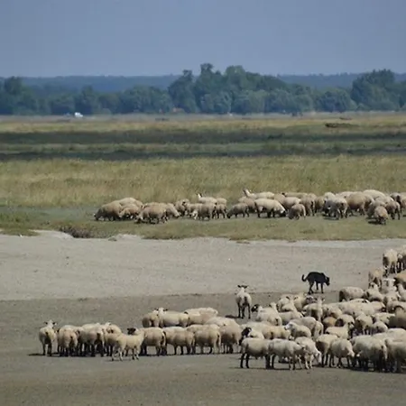 Villa Les Galets Bleus Le Crotoy