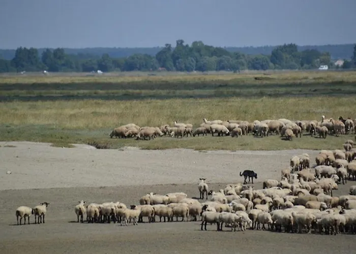 Villa Les Galets Bleus Le Crotoy